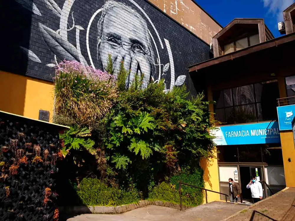Jardín vertical nativo en una fachada de Padre Las Casas junto a un mural