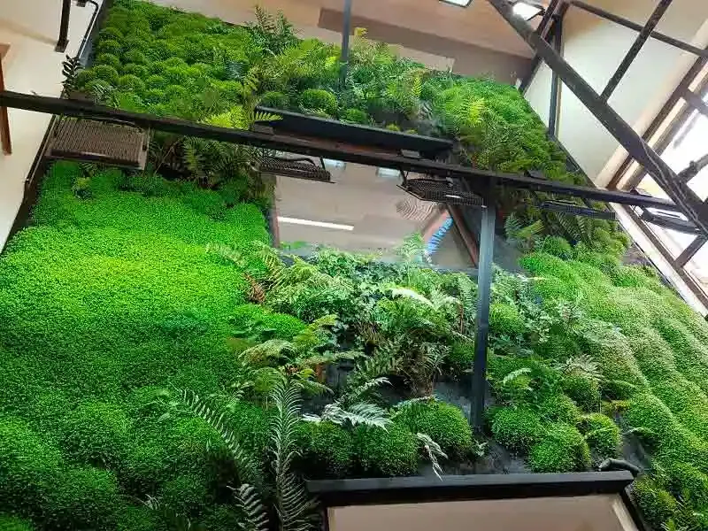 Detalle del muro verde con musgos y helechos en el jardín infantil
