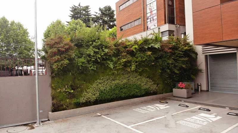 Muro verde en el sector de estacionamientos del Edificio Buró