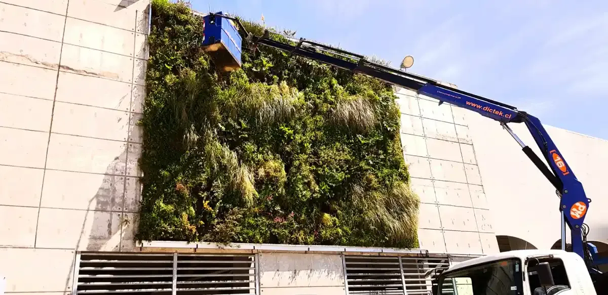 Follaje nativo del muro verde del Estadio Germán Becker