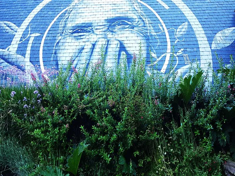 Detalle del muro verde de Padre Las Casas