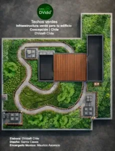 Plano de zonificación botánica del techo verde del Edificio de Simulación Médica UdeC