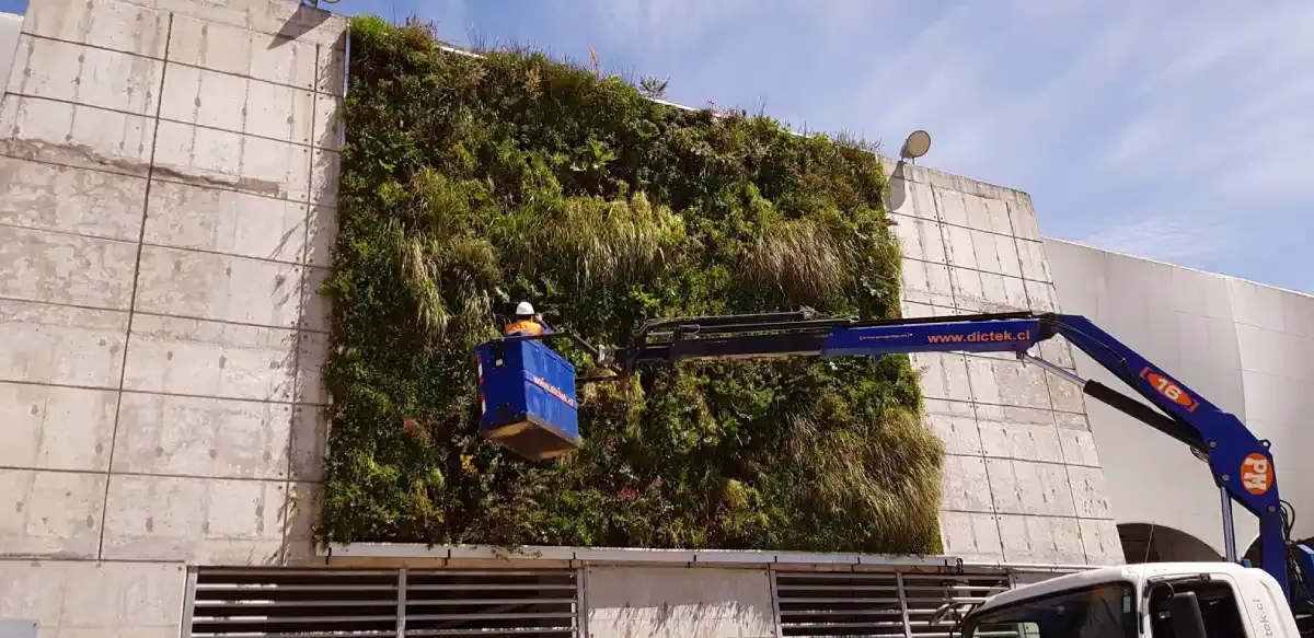 Equipo de DVida® instalando el muro verde del estadio desde un camión grúa