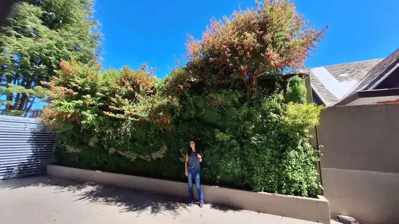 Persona frente al muro verde del Edificio Buró, que muestra su escala