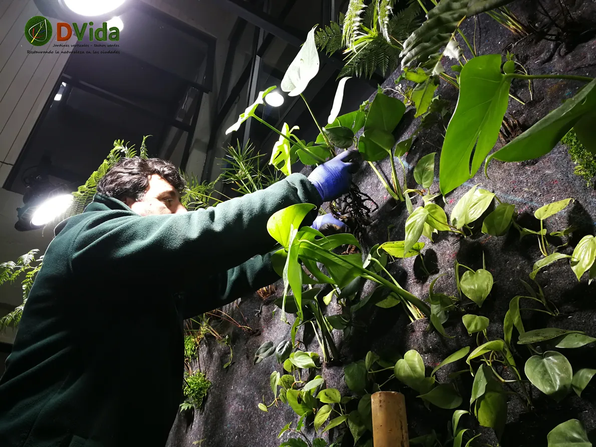 Plantación de especies en los muros verdes del CFT Teodoro Wickel