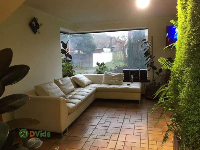 Muro verde interior junto a una sala de estar