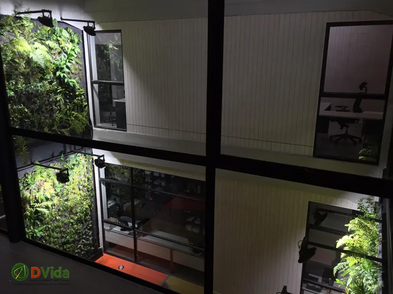 Muros verdes vistos desde el pasillo del segundo piso