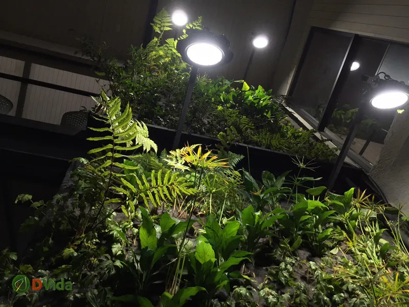 Muro verde interior con helechos y vegetación nativa chilena
